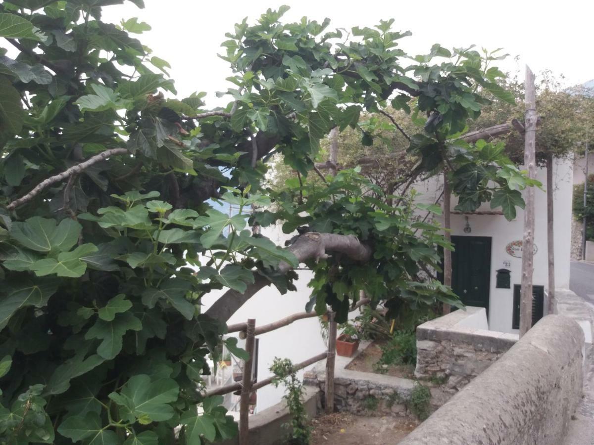 Villa Casa Rosetta Praiano Exterior foto